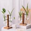 Creative Wooden Frame Hydroponic Vase Dill Plant Transparent Glass Flower Arrangement Container Desktop Ornament Home Decoration Products