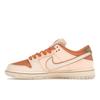 Nike Dunk Low SB Trocadéro Gardens Unisex Sneakers Pink Amber-Brown Guava-Ice FV5926-200