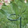 Home Flower Bonsai Pile Single Stem Garden Tool Plant Support Stake Support Ring Stand