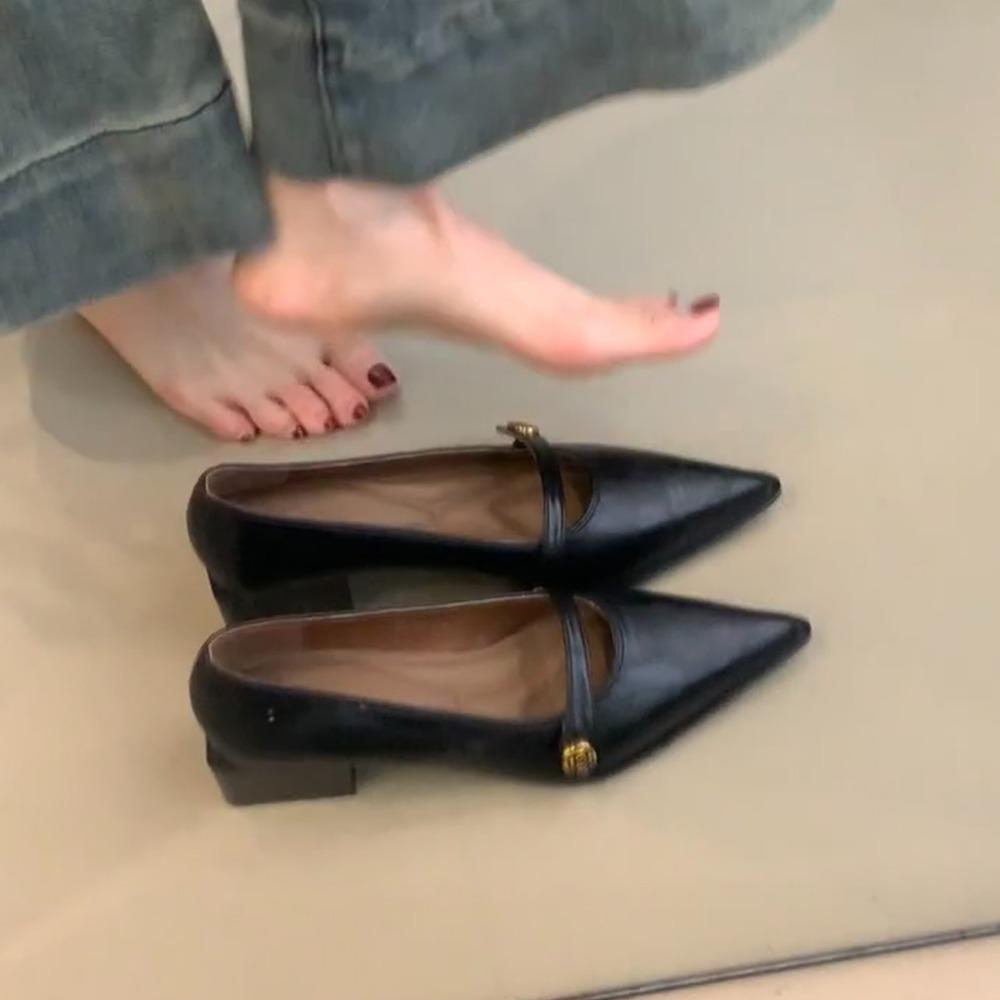 Fashion Retro Mary Jane Shoes Women's Spring Autumn Brown Light Mouth High Heels One Button Thick Heels Pointed Toe Temperament Pumps