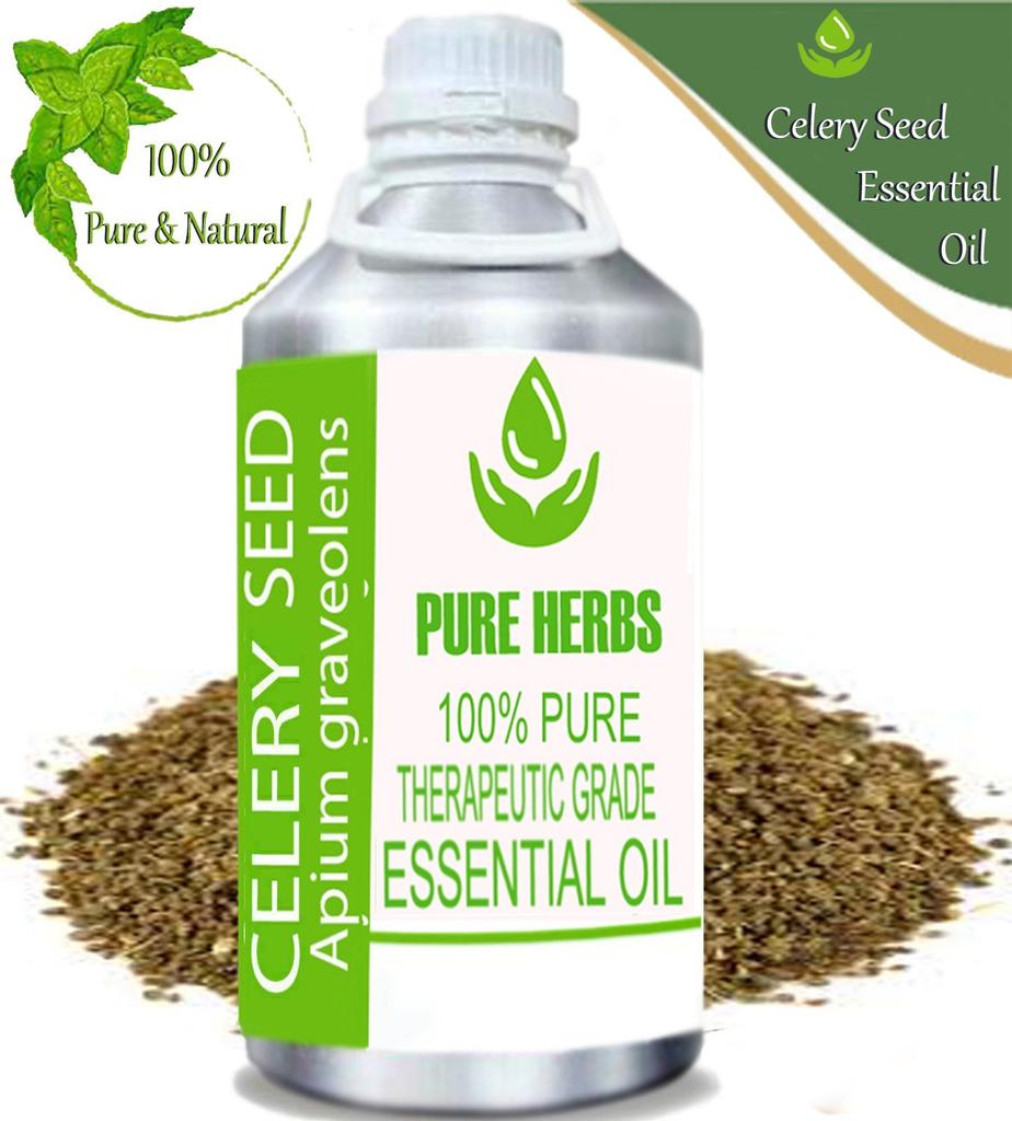 Pure Herbs Celery Seed 100% Pure & Natural Apium Graveolens Essential Oil ZA 277