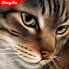5d Diamond Painting Full Drill Cat Diamond Mosaic Accessories Animal Rhinestones Pictures Wall Art