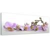 Canvas Print, Flowering Orchid Blossom