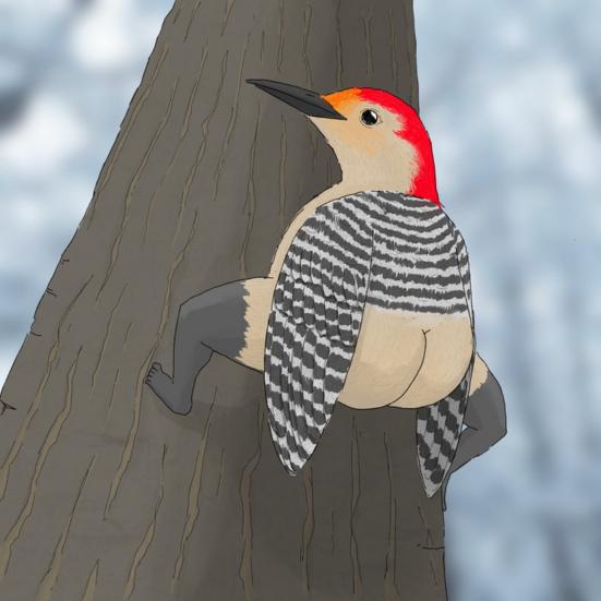 Настенный календарь на 2024 год с рисунком птицы, большой письменный планировщик, ежедневные мероприятия, забавный настенный календарь