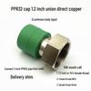 PPR Water Heater Union Pre-Filter Connector: 25 To 1 Inch, 4-6 Points, 32 Straight Elbow, Copper Water Pipe Fittings