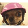 Adjustable Dog Helmets Funny Dog Protection Hat Pet Protect Ridding Cap  Sun Rain Protection
