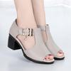 Women's Shoes With Thick Heels Straight Strap Thin Band Middle Heel Sandals Slippers 35-41