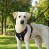 Multi-Point Adjustment Anti-Pull Dog Harness Reflective Dog Leash Dog Chest Strap Daily Walks