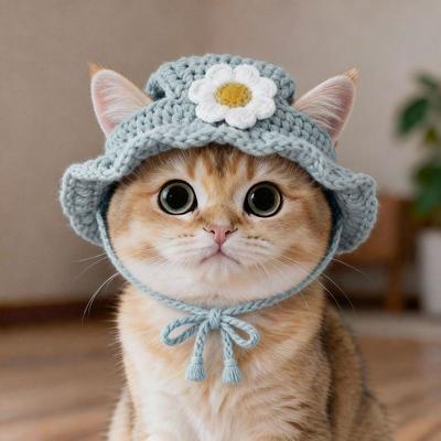 Новая смешная шапка для кошки Ручная работа Реквизит для фотосессии Щенки Котята Вязаная шапка Изысканная Эластичная Питомцы Вечеринка Косплей Головной убор Осень Зима