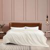 Mercury Tussah Silk All-Season Duvet