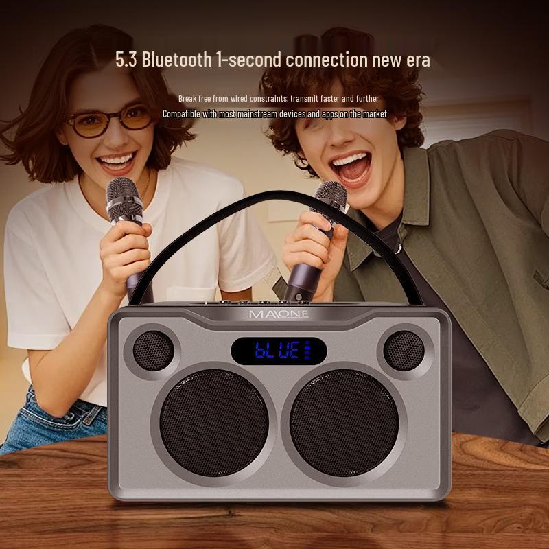 Malone Portable Bluetooth KTV Speaker Amplifier CN plug (adapter included) (CN version)