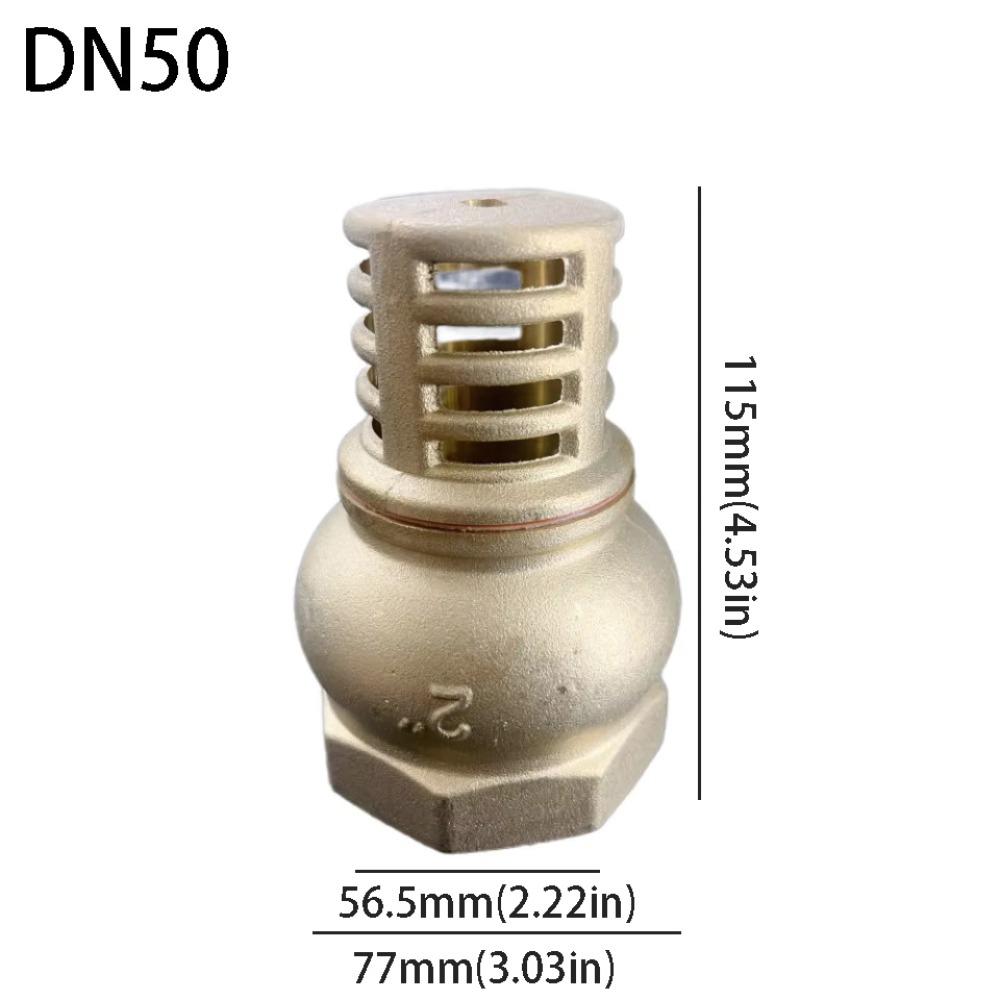 Anti Backflow Bottom Valve Female Thread Check Valve Brass Brass Foot Valve  Direct Supply
