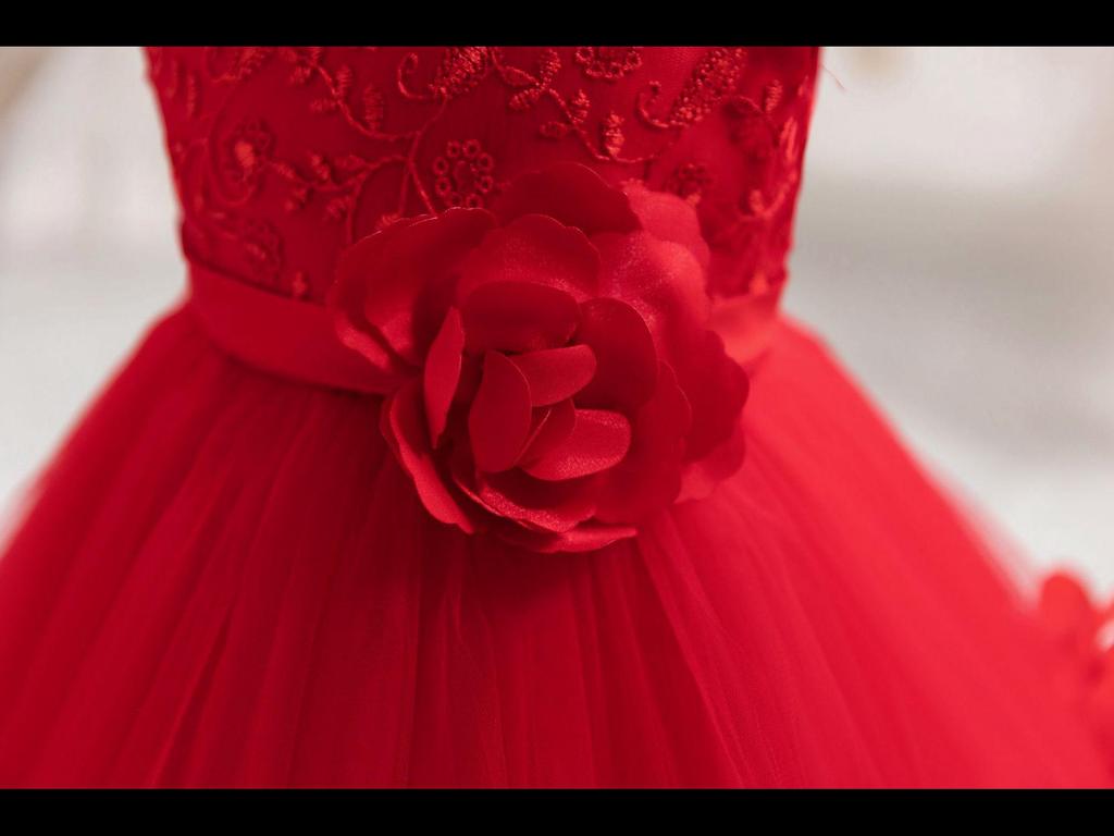 Новое детское кружевное платье принцессы Cross-Border: Праздничная пышная юбка и костюм для выступления для годовалых детей