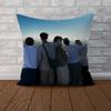 DDear ALICES Pillow Case For Car Sofa Decorative Home Doublesided Print Plush Square Throw Pillow Cushion Cover