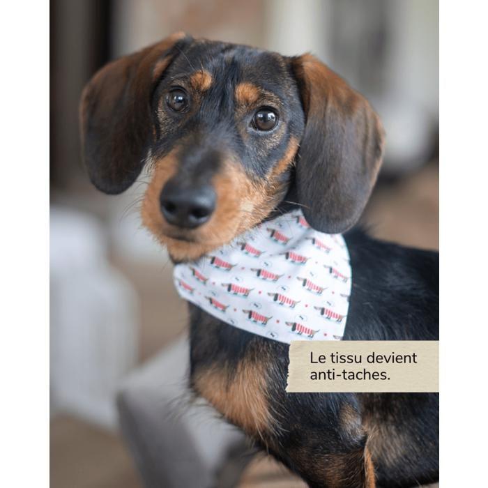 Водонепроницаемый клей-гель для ткани - ODIF - Odicoat - 250 мл