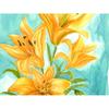 5D DIY Алмазная картина Лилии Алмазная вышивка Мозаика Крест Стежок Горный хрусталь
