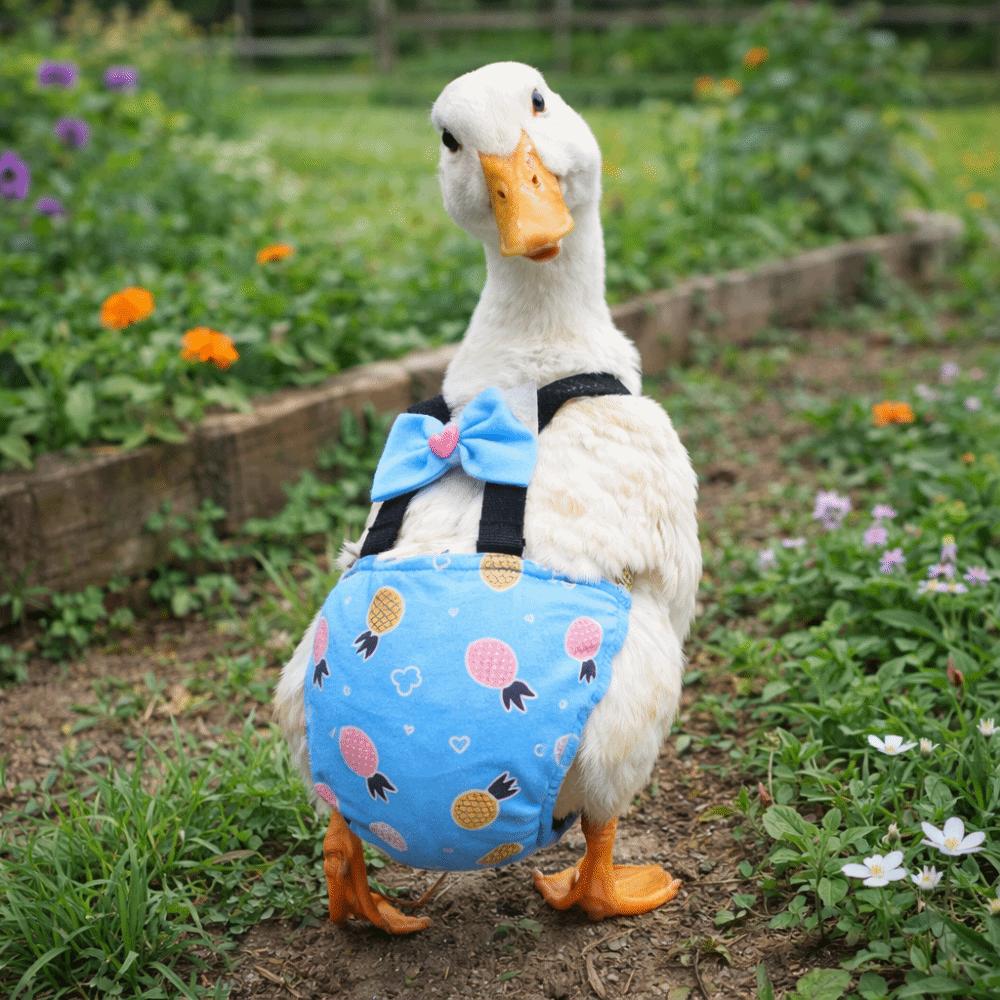 Elastic Band Chicken Physiological Pants Adjustable Poultry Nappy Poultry Costume Goose Duck