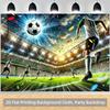 2D Flat Printing Football Stadium Photography Backdrop for Soccer Themed Birthday Party