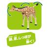 TAKARA TOMY Игрушка динозавр Ania Giraffe Animal Ages AL-30 (Сетчатый жираф) 3+
