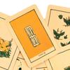 9*6,5 см Колода Оракульных Карт Иллюстрированная в Винтажном Стиле – 50 шт. Карты Мистического Гадания и Творческого Вдохновения