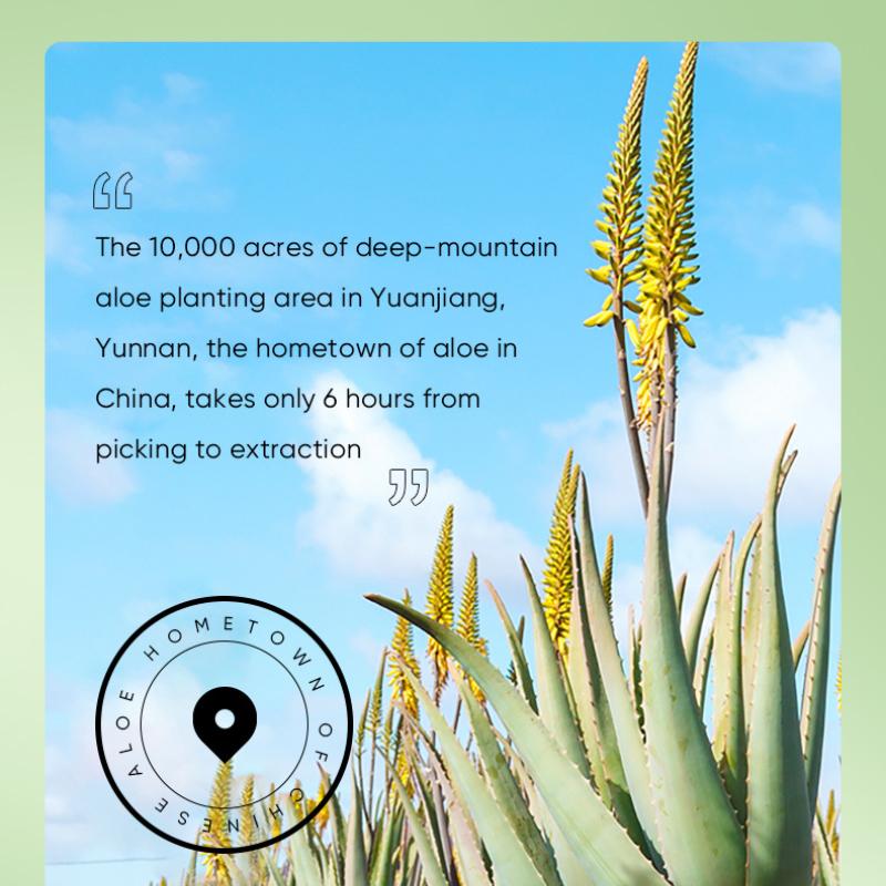 Алоэ Вера Спокойной ночи замороженная пленка SADOER маска для сна несмываемая мазь