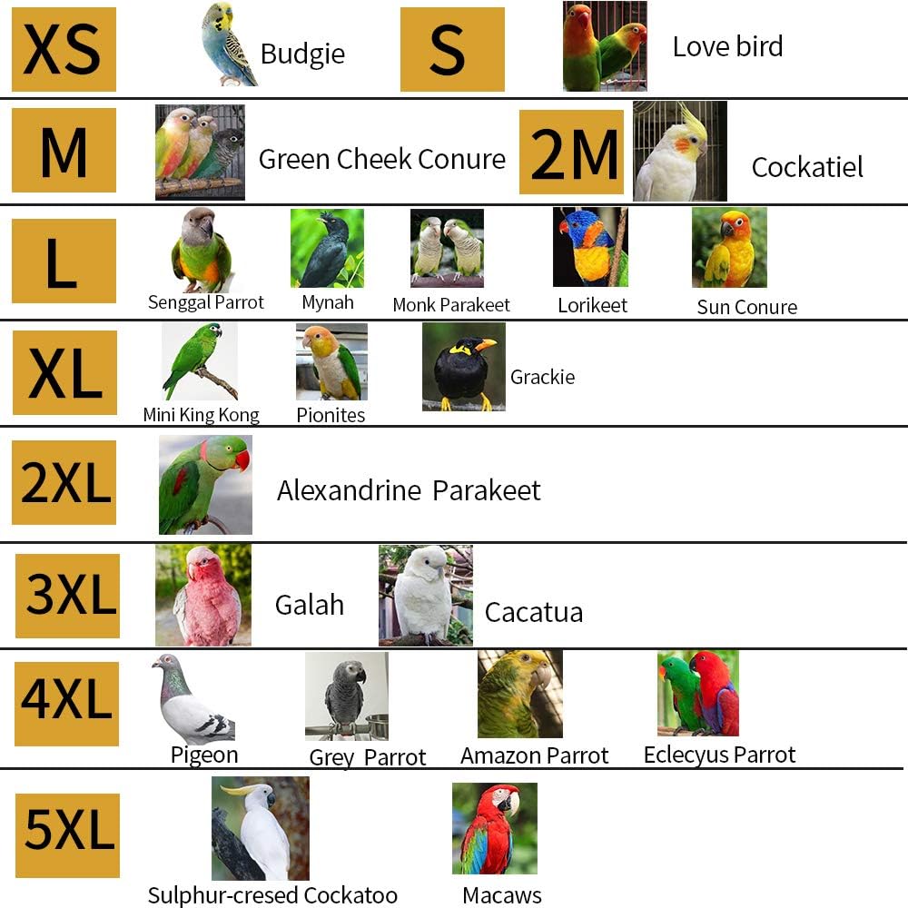 Bird Clothes Parrot Diapers Bird Flight Suits, Reble Waterproof Diapers pet Bird Supplies (2XL)
