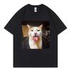 Silly Cat Bleh Funny Meme Graphic T Shirts Unisex Unisex Casual Cotton Short Sleeve Tshirts High Quality Fashion Oversized Tshirt