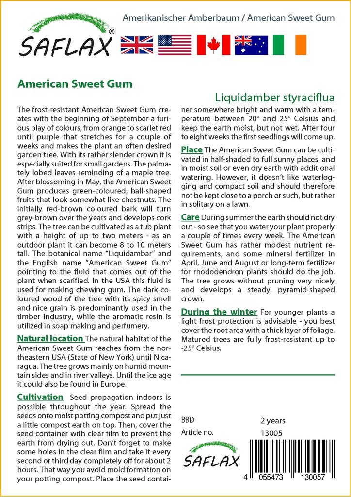 SAFLAX American Sweet Gum - 100 семян - Liquidamber styraciflua