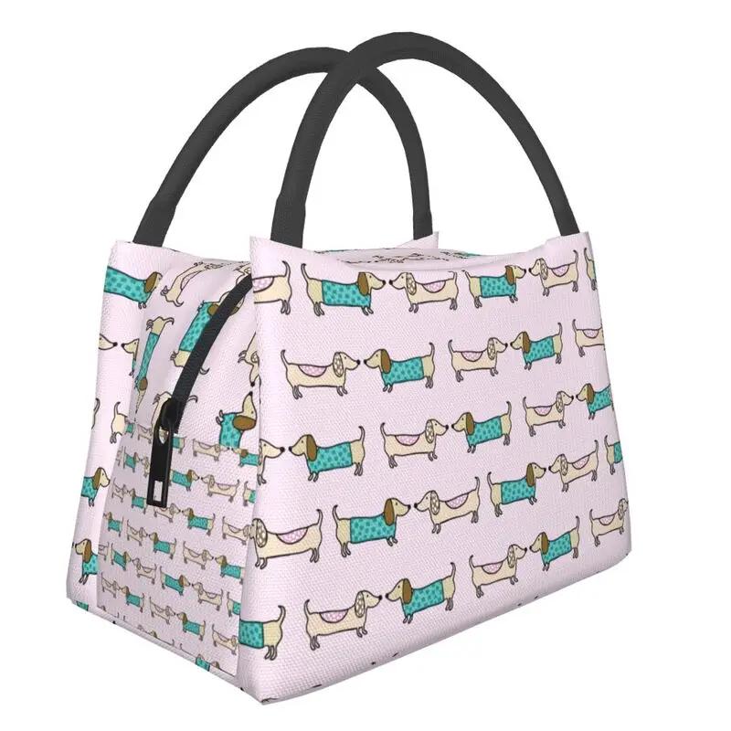 Симпатичный узор таксы, изолированный ланч-бокс для женщин, барсучья колбаса, охладитель для собак Wiener, термобокс для еды, офис