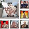 Корея Аниме L-Lookism Наволочка Мягкая Плюшевая Ткань Двусторонняя Печать Наволочка для Дивана Для Всех Сезонов Декор Дома Подарок