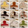 Korean Style Small Shark Clip Colorful Acetic Acid Side Clip Cute Acetic Acid Hair Claw  Children