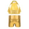 Girls Mock Neck Sleeveless Sequin Crop Top Tiered Shiny Metallic Shorts Stage Dance Outfit
