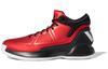 D Rose 10 'Красный Черный' FU9373