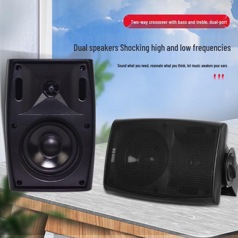 Diyou Wall-Mounted Conference & Broadcast Speaker System CN plug (adapter included)