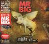 CD MR. BIG - What If... IECP10236 WHD Entertainme 2010 Japan ObiRock Used