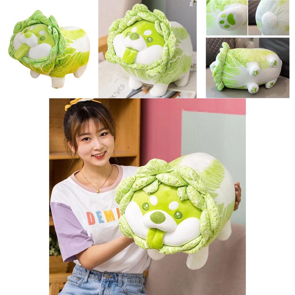Cabbage Shiba Inu Dog Stuffed Doll Perfect For Gifting**