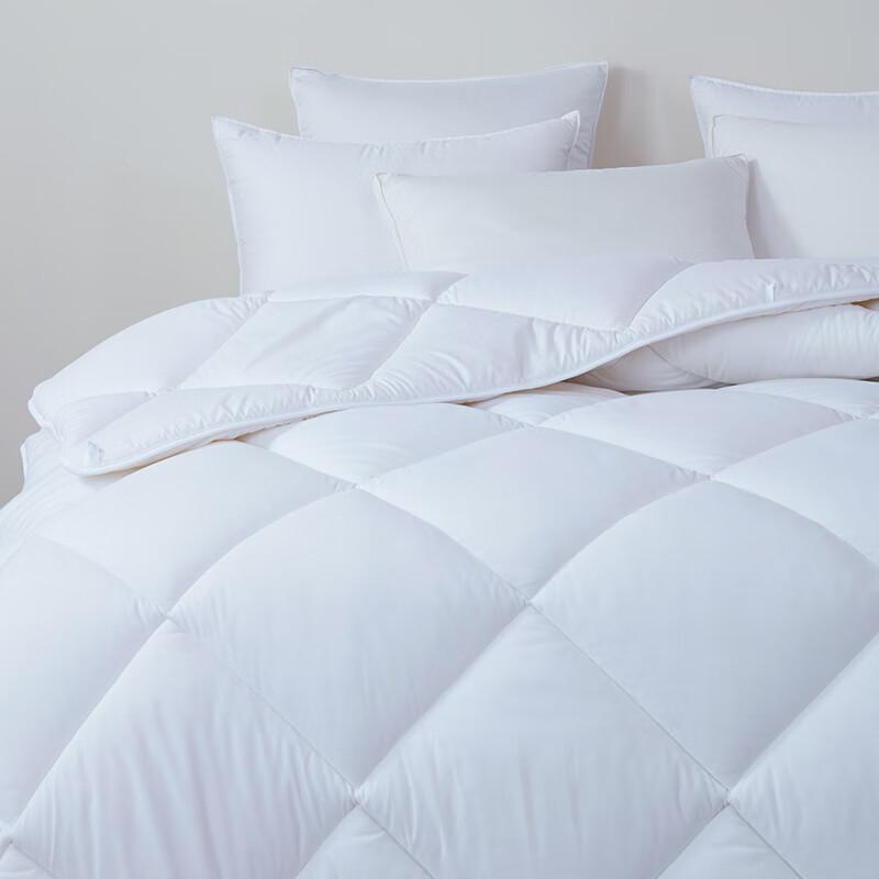 Mengjie Down Alternative Quilt Insert