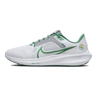Air Zoom Pegasus 40 'Norfolk State' DZ5947-100