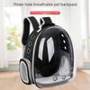 Transparent Double Shoulder Cat Backpack - Lightweight, Breathable & Panoramic Pet Bag for Outings