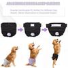 Washable Dog Physiological Pants Safety Dog Sanitary Diaper Pet Menstruation Shorts  Medium Dogs