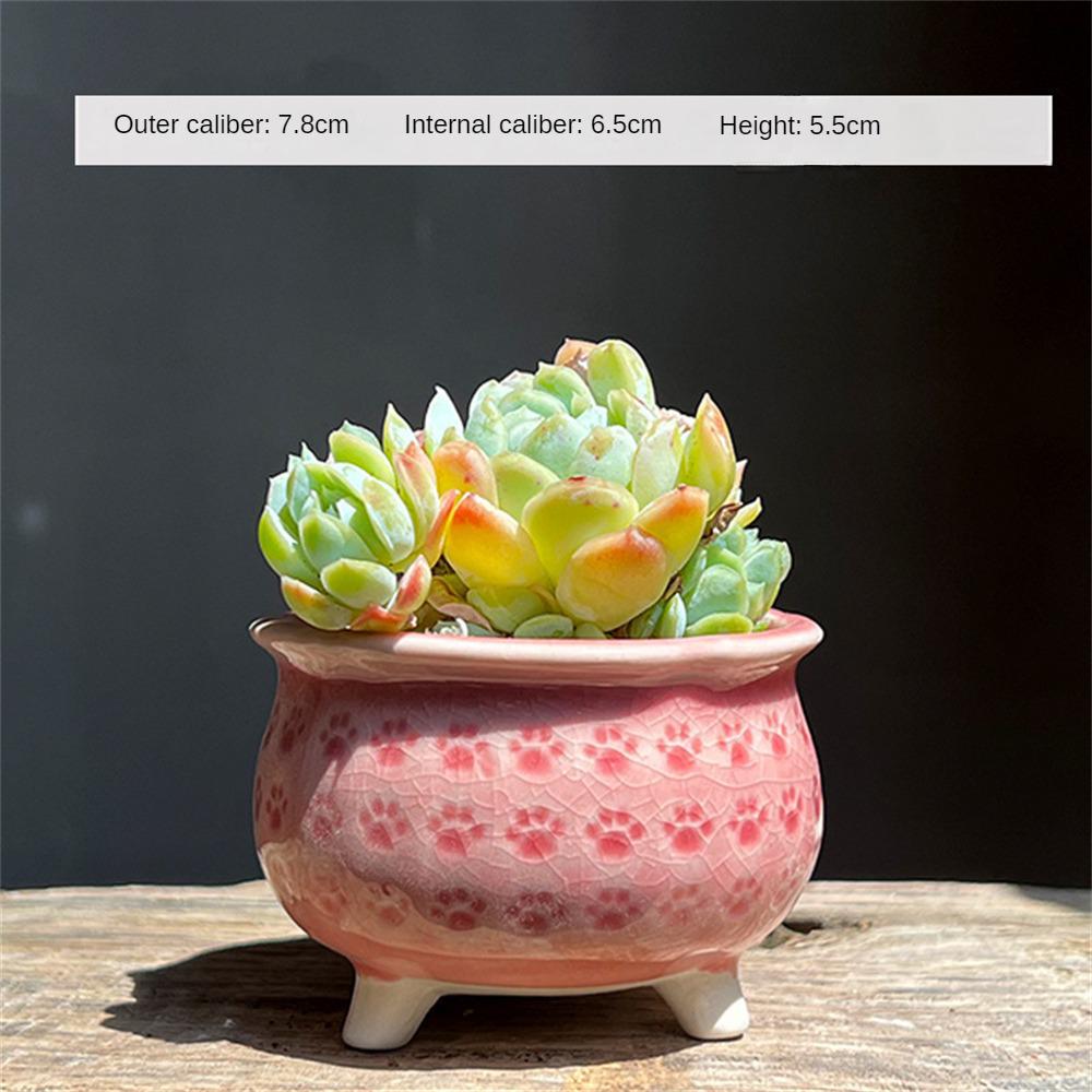 Breathable Pottery Basin Creative Meat Flower Pot Cat Claw Ceramics Draining Hole Flower Decorative Ceramic Flowerpot Flowerpot