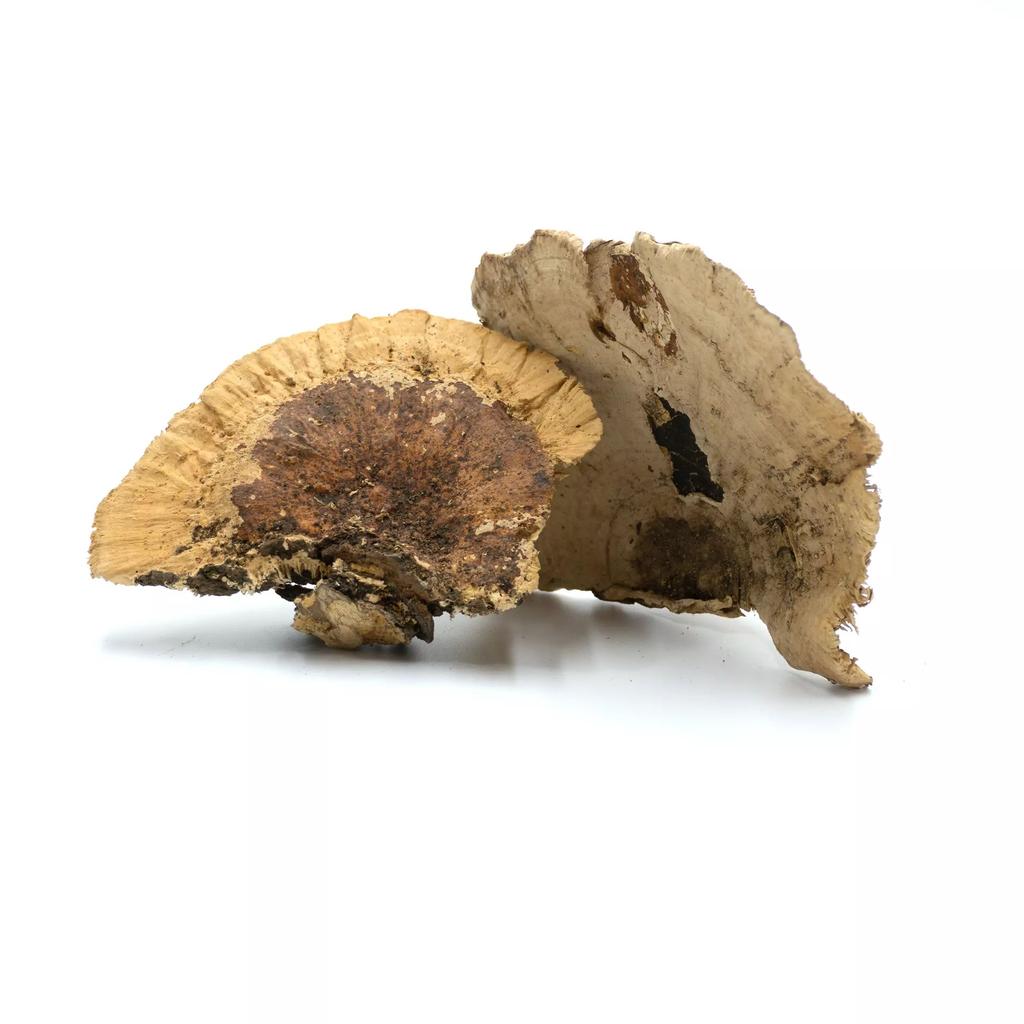 BioHub Natural Huba 6 pcs in a package