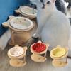 Non-Slip Dog Cat Feeder Wooden Stand Cat Water Bowl Practical Anti Vomiting Bowl Pet Supplies