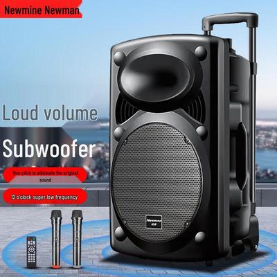 Портативная Bluetooth-колонка для караоке Newmine N521 на колесиках, штекер CN (адаптер в комплекте)
