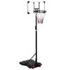 Transparent Basketball Stand 216 250 Cm Polycarbonate