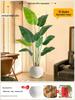 Искусственное дерево Стрелиция - Роскошная зелень для декора гостиной