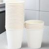 Disposable White Tasting Cups
