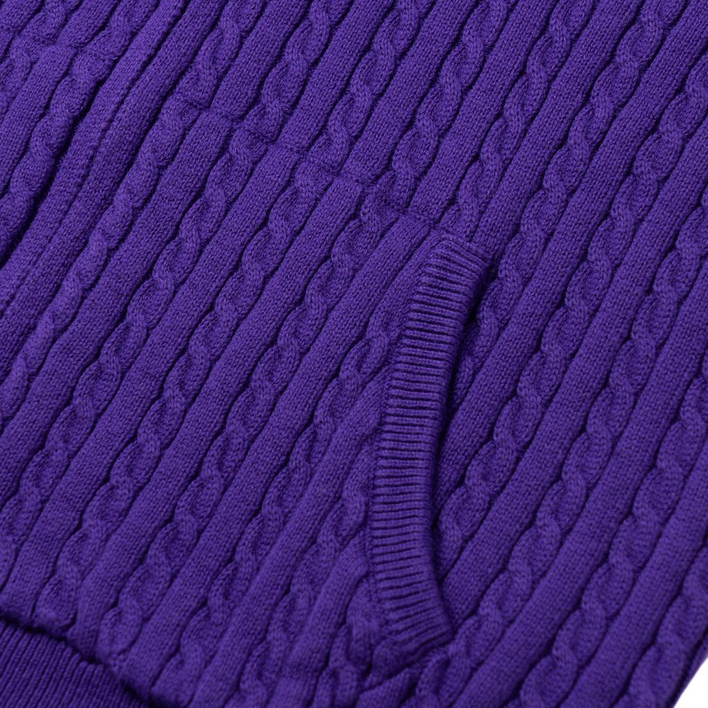 Polo Ralph Lauren Sweater Pony Logo Embroidered Zipper Hoodie Long Sleeve Kids Tops Purple 313916533-007