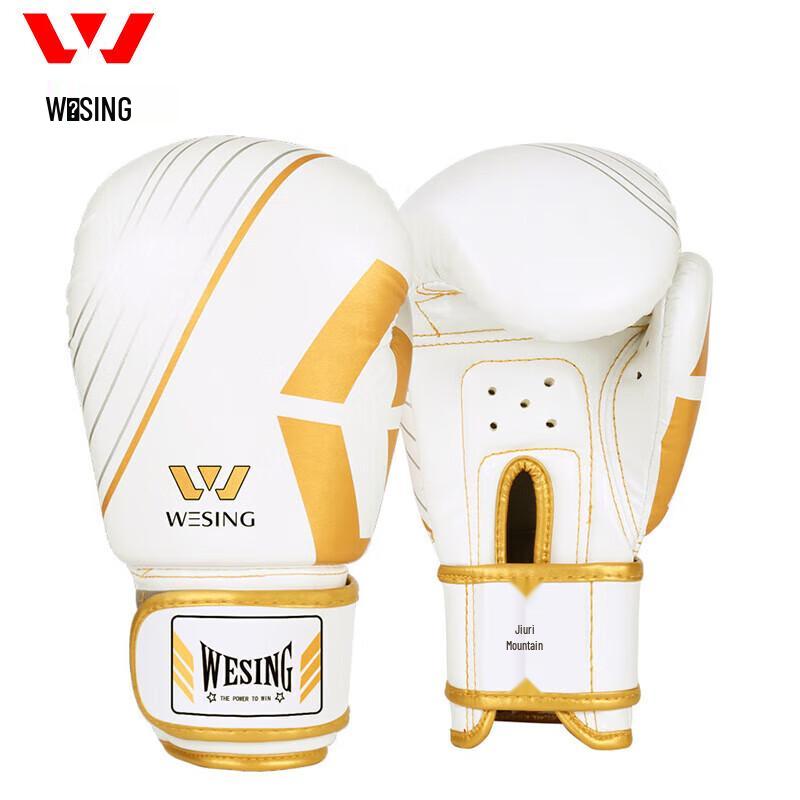 Jiu Ri Shan Boxing Gloves & Training Sets
