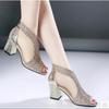 High Heels Women's Thick Heel Fish Mouth Mesh Gauze Single Shoes Sexy Women's Shoes